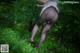 A woman in black stockings and a white shirt is walking through the woods.